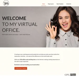 StudioPress Hello Pro Genesis WordPress Theme 3.0.1