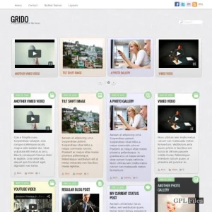 Themify Grido WordPress Theme 5.6.1