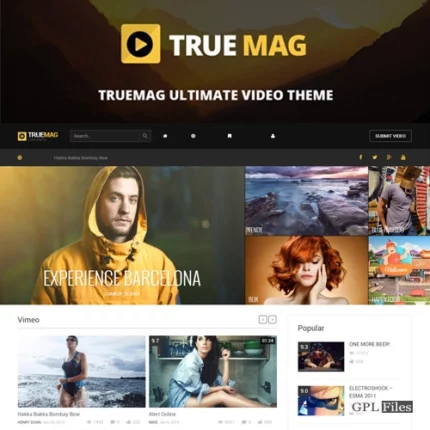 True Mag | WordPress Theme for Video and Magazine 4.3.10