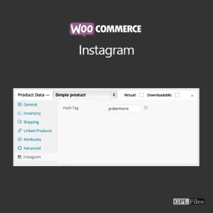WooCommerce Instagram 4.2.0