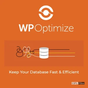 WP-Optimize Premium 3.2.8