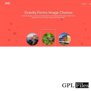 Gravity Forms Image Choices 1.6.15